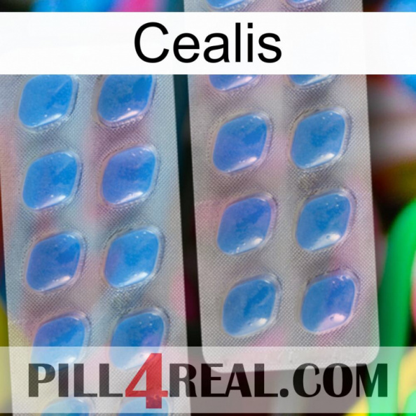 Cealis 23.jpg